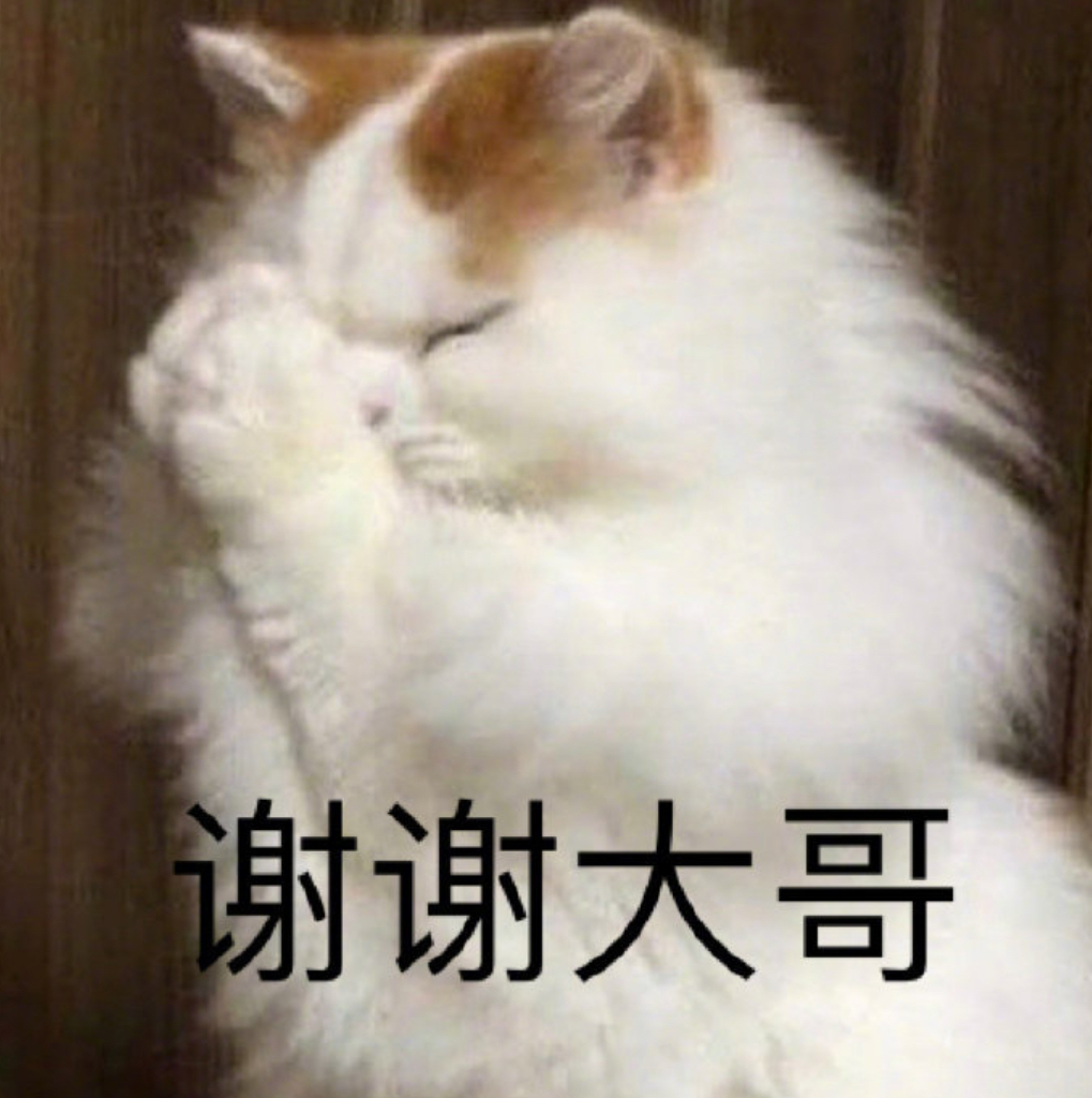 IMG_2737.jpeg