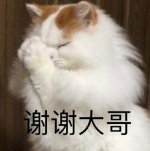 IMG_2737.jpeg
